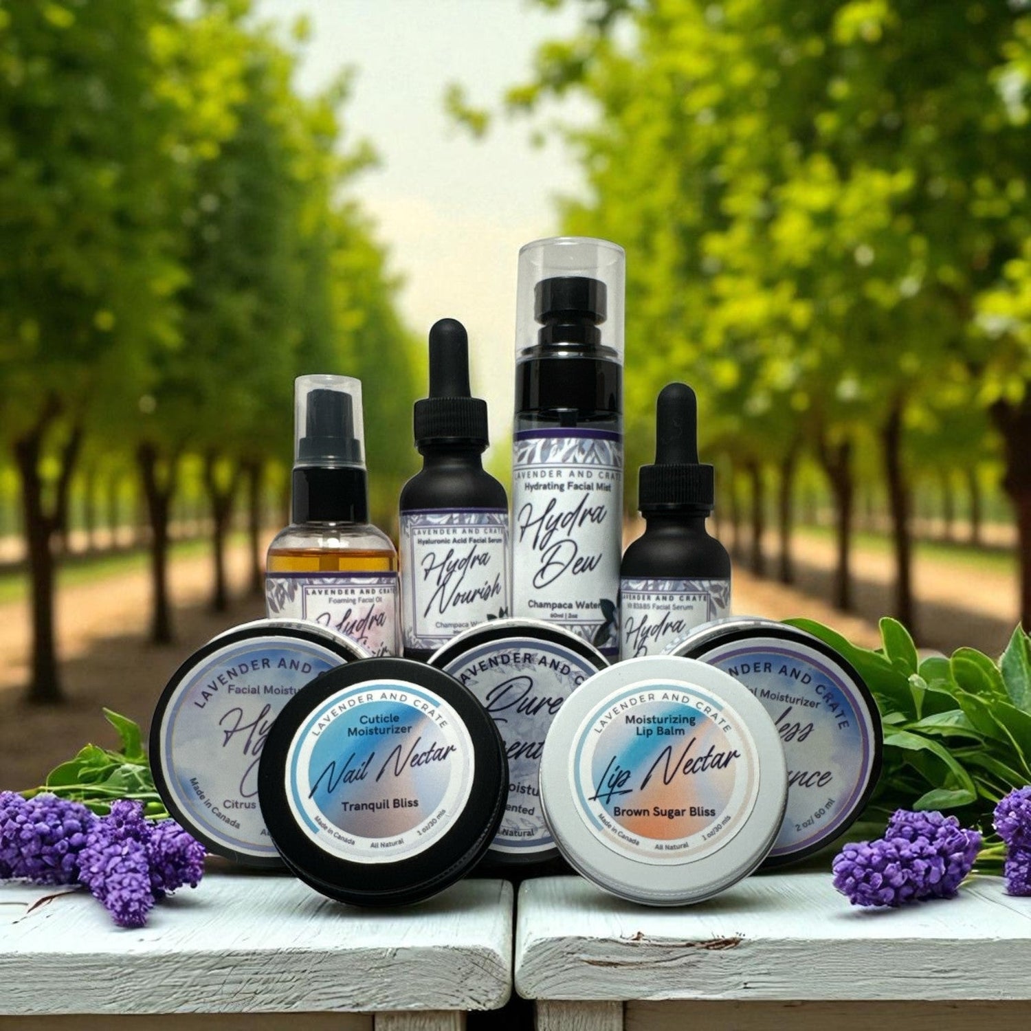 Skin Care