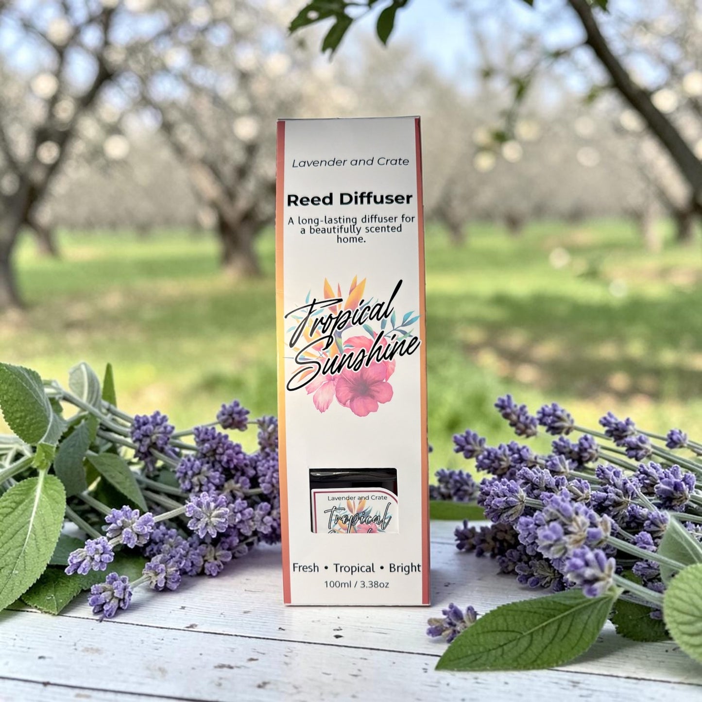 Reed Diffuser
